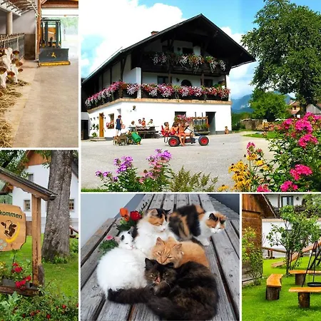 Çiftlik konaklama Kandler Rossleithen