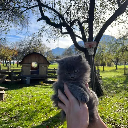 Κατάλυμα σε φάρμα Kandler