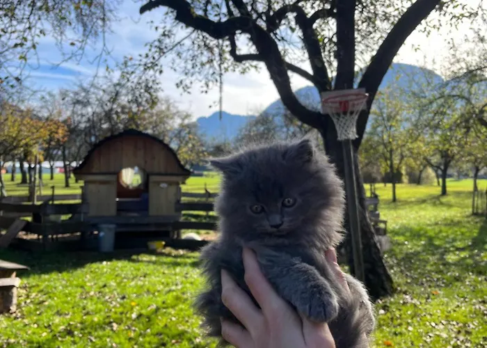 Κατάλυμα σε φάρμα Kandler