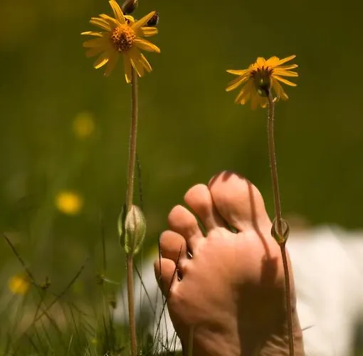 Farmház Kandler Rossleithen