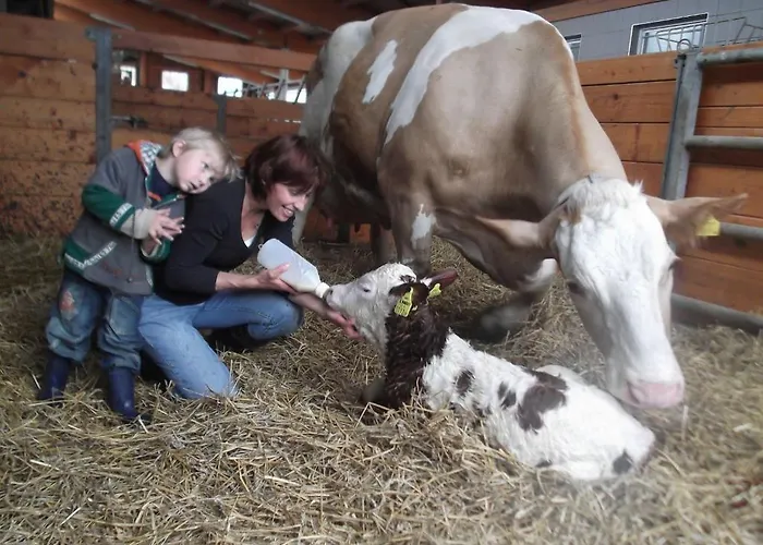 Kandler Gospodarstwo agroturystyczne Rossleithen