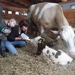 Kandler Alloggio per agriturismo Rossleithen