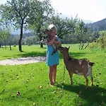 Kandler Alloggio per agriturismo